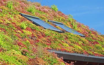 Hendra living roof systems