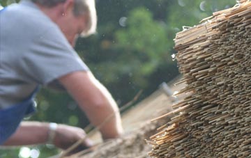 professional Hendra thatchers