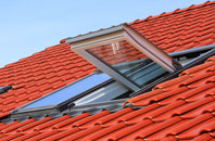 Hendra roof window