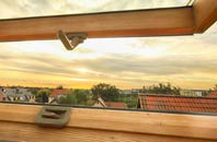rated Hendra roof window companies